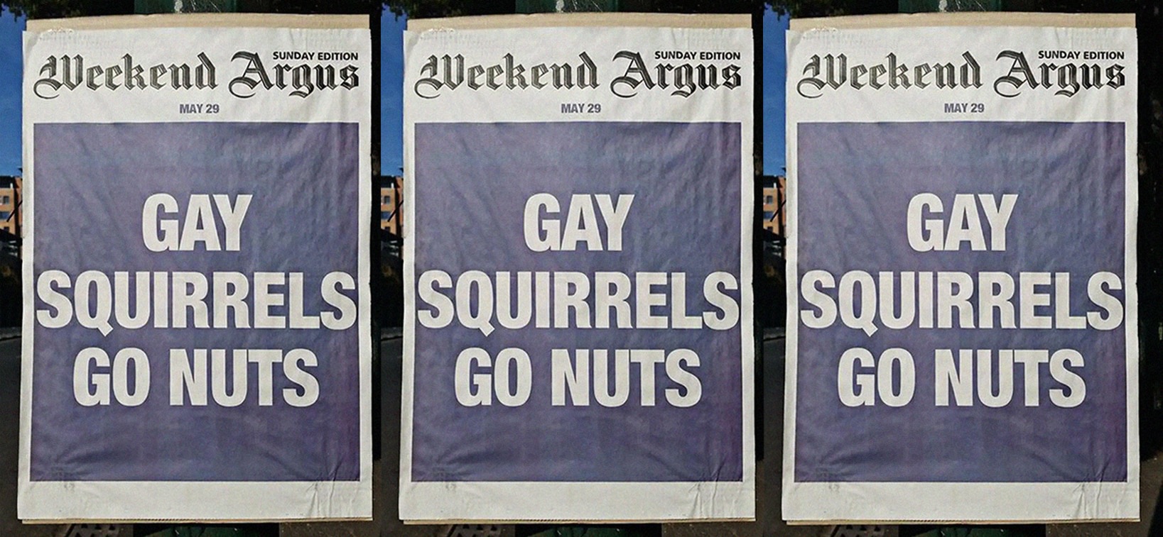 Street poster advertising by The Weekend Argus newspaper with the title, GAY SQUIRRELS GO NUTS, for an article about Squeers.